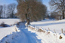 Country lane / track leading out of Bonsall village after heavy snow, Peak District National Park, Derbyshire, UK. January.