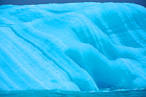 Blue iceberg drifting in open sea off the ice wall of Brasvellbreen glacier, Austfonna, Nordaustlandet, Svalbard, Norway, July 2012