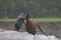 Fisherman with umbrella during monsoon rain, Sundarbans, Bangladesh, September 2011