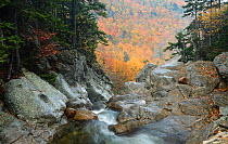 Ellis River high in White Mountain National Forest. New Hampshire, October 2012.