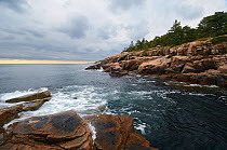 Coastal rocks. Acadia National Park, Maine, October, 2012.
