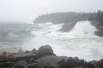Acadia National Park, Maine. The Atlantic Ocean. Hurricane Sandy, October.