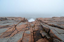 Coast of Acadia National Park, Maine during Hurricane Sandy. October, 2012.