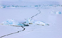 Aerial view of sea ice around Snow Hill Island, showing small group of Emperor Penguins (Aptenodytes forsteri) Antarctica, Novmeber