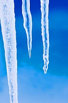 Icicles hanging from iceberg, stuck in the fast ice of the Weddell Sea around Snow Hill Island, Antarctica, November