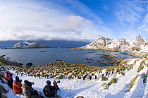 Tourists photographing Macaroni Penguins (Eudyptes chrysolophus) at colony in Cooper Bay, South Georgia, November 2006
