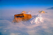 Tents in a storm with 75 mile per hour winds, at Patriot Hills, Antarctica