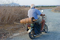 Illegal trapper with limesticks on back of motorcycle going to orchard to set up Cyprus, September 2011