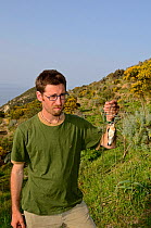 Activist from CABS (Campaign Against Bird Slaughter) holding a Black-eared Wheatear (male) (Oenthe hispanica) in spring / clap trap, illegally trapped on island of Ponza, Italy April 2012
