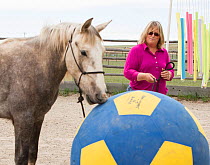 Wild horse / mustang called Mica, rounded up from Adobe Town Herd Management Area in Wyoming and adopted by photographer Carol Walker (pictured). Attending a trial obstacle clinic, designed to increas...