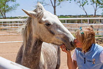 Wild horse / mustang called Mica, rounded up from Adobe Town Herd Management Area in Wyoming and adopted by photographer Carol Walker. Attending the Wild Horse Festival in Santa Fe, New Mexico, meetin...