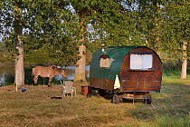 Old Gypsy trailer / caravan designed to be horse-drawn,  with pony, Loire atlantique, France, September 2012