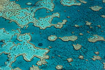 Aerial view of Hardy Reef, Great Barrier Reef, August 2011