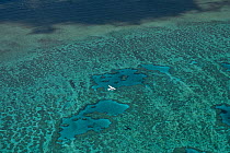 Aerial view of Hardy Reef with float plane, Great Barrier Reef, August 2011