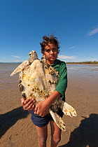Junior ranger carries a green turtle (Chelonia mydas) to shore for the scientific research data gathering. Queensland, Australia, May 2011. Model released.