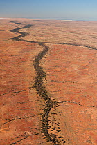 Aerial view of creek leading to Lake Eyre. Desert part of the Anna Creek property, South Australia, June 2011