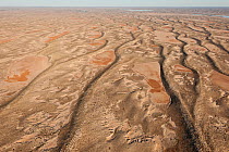 Aerial of sand dunes, Simpson Desert Regional Reserve. South Australia, June 2011