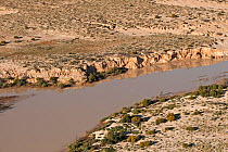 Aerial of Kallakoopah Creek in the Simpson Desert Regional Reserve. South Australia, June 2011