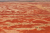 Aerial of Sturt Stoney Desert with gibber rocks. Gibber rocks are millions of years wind and water weathered chalcedonised sandstone with a hardened crust of soil cemented silica, iron and manganese,...