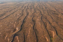 Aerial of Sturt Stoney Desert with green vegetation on the sand dunes. Australia. June 2011