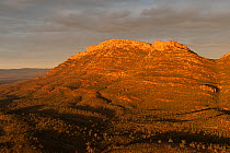 Dramatic early morning aerial of Wilpena Pound, Flinders Ranges National Park, South Australia, June 2011