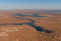 Aerial view of the meandering waters of Cooper Creek. South Australia, July 2011