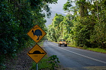 Cape Tribulation cassowary sign and speed bump sign, vandalised to a 'roadkill' before and after sign, Queensland