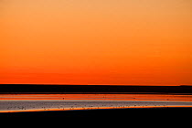 Shore of lake Eyre at sunset, South Australia