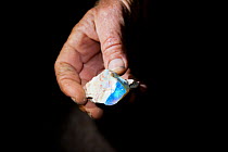 Andamooka opals held in hand, South Australia, June 2011