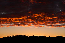 Sunrise over Wilpena Pound, Flinders Ranges National Park, South Australia, Australia