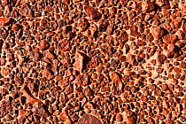 Gibber rock and pebble littered area of arid or semi-arid country in Australia. The rocks are generally angular fragments formed from broken up duricrust, usually silcrete, a hardened crust of soil ce...