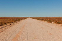 Birdsville Track, South Australia, Australia