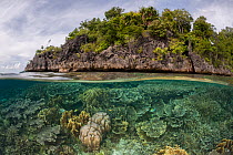 RF- Split level of coral reef and a tropical island. Raja Ampat, West Papua, Indonesia, February 2012. (This image may be licensed either as rights managed or royalty free.)