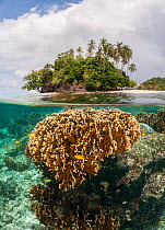 Split level of coral reef and a tropical island. Raja Ampat, West Papua, Indonesia