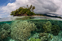 Split level of coral reef and a tropical island. Raja Ampat, West Papua, Indonesia, February 2012