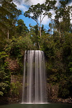 Millaa Millaa Falls, Queensland, Australia, June 2012