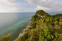 Clifftop view from Pulau Pef, Raja Ampat near Waigeo, Indonesia, February 2012
