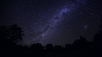 Timelapse of the Milky Way galaxy revolving due to the Earth's rotation, footage taken at night using starlight camera technology, Moremi Game Reserve, Botswana, April 2009.
