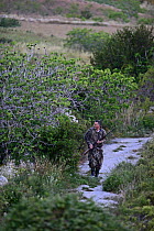 Hunter looking for Turtle Doves (Streptopelia turtur) and Quail (Coturnix coturnix) during BirdLife Malta Springwatch Camp, Malta, April 2013 EDITORIAL USE ONLY
