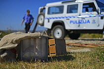 ALE (Administrative Law Enforcement) Police with confiscated turtle doves (Streptopelia turtur) and equipment from dove trapping area, during BirdLife Malta Springwatch Camp, April 2013