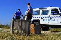 ALE (Administrative Law Enforcement) Police with confiscated turtle doves (Streptopelia turtur) and equipment from dove trapping area, during BirdLife Malta Springwatch Camp, April 2013