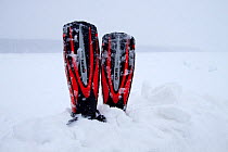 Diving fins in snow, Arctic circle Dive Center, White Sea, Karelia, Northern Russia, March 2010