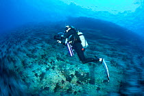 Dive guide and instructor following the current in a pass, Maldives, Indian Ocean, November 2011