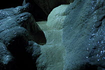 Limestone formation in Poole's Cavern. Buxton, Peak District, Derbyshire, UK, December.
