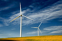 Marengo Wind Facility near Dayton. Washington, USA. August 2011.