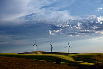 Marengo Wind Facility near Dayton. Washington, USA. August 2011.