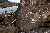 Petroglyphs at Wedding Rock along the Pacific coast in Olympic National Park. Washington, USA, August 2012.