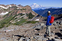 Hiker looking towards Mount Rainier from the Pacific Crest Trail above the Goat Flats in the Goat Rocks Wilderness, Gifford Pinchot National Forest. Washington, USA, August. Model released.