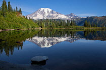 View of Mount Rainier from Bench Lake in Mount Rainier National Park. Washington, USA, August 2012.