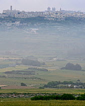 View across Maltese countryside towards Rabat,  during BirdLife Malta Springwatch Camp April 2013